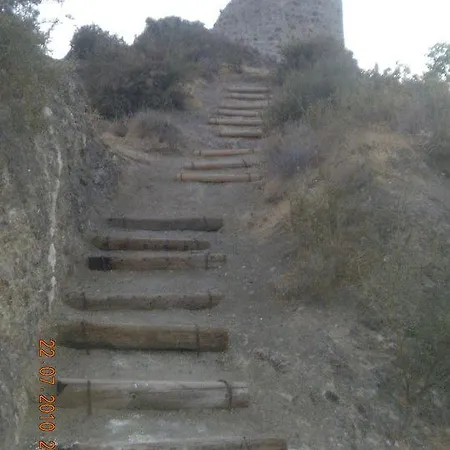 Tyllirias *